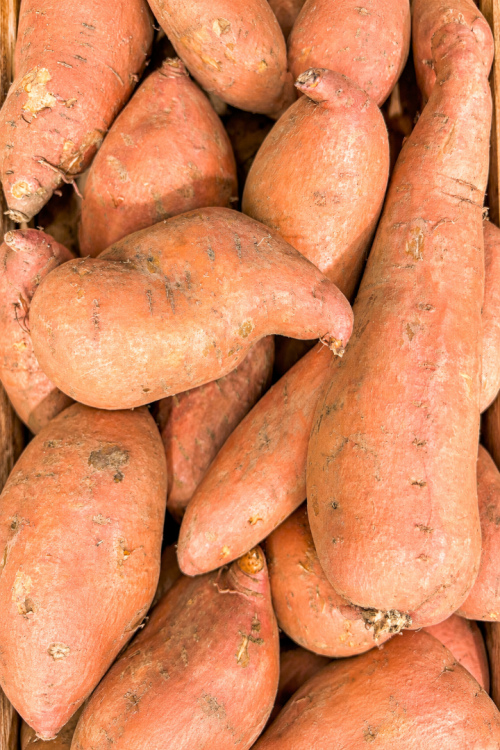 Vasada Garden Organik Tatlı Patates 1 Kg Yerli Ürün Taze Söküm Ipomoea Batatas
