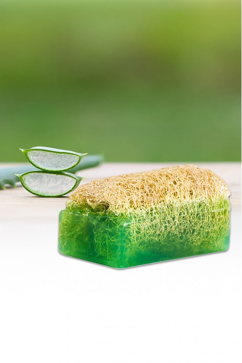 Doğal Kabak Lifli Aloe Vera Özlü Sabun